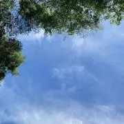 mkの画像