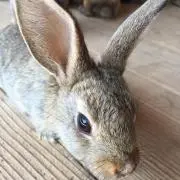 Namiの画像