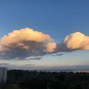 バナナの画像