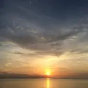 Rinの画像