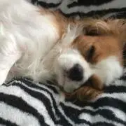 まーゆ