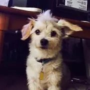 よっちゃん