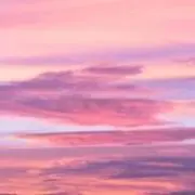 ようこりんの画像