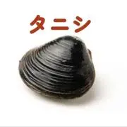 ヤドカリ