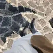 エケベリア  本2冊購入で50円引き