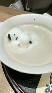 tomoの画像