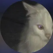 らびえんて