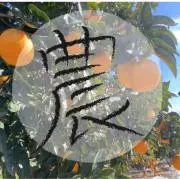 まの画像