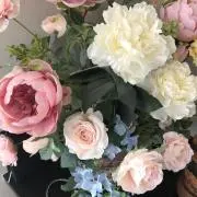 NANAの画像