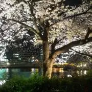 エミリーの画像