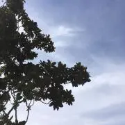 xrs
