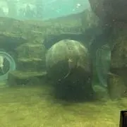 ふー