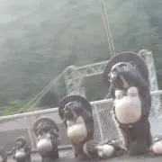 6yom※お値下げ交渉は承っておりませんの画像