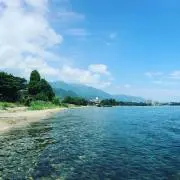 gomagomaの画像