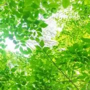 自己紹介必読の画像