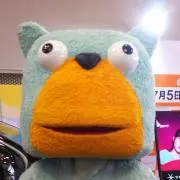 まぁの画像