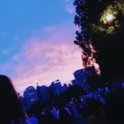 まみの画像