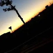 yの画像