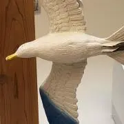 kamomeの画像