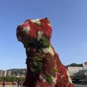 ニンジンジュースの画像