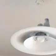 るぅの画像