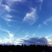 ururuの画像