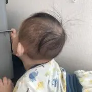 こまの画像