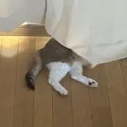 KAZUMAの画像
