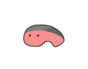しゃけ