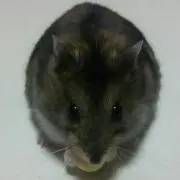 よっちん
