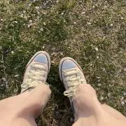 なすびの画像