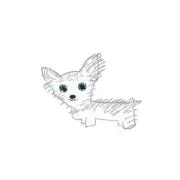 かにゃ  1126a8  ※ 初心者ですの画像