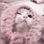 すずの画像