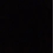 ぬこの画像