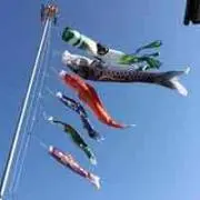 こいのぼりの画像