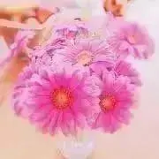 MUU♡の画像