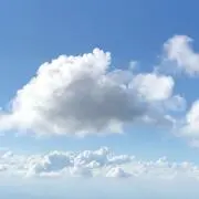 ささみの画像