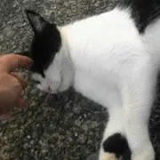 matsu.desuの画像