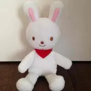 tkの画像
