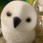Kakaの画像
