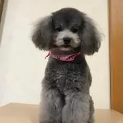 ティちゃんママ