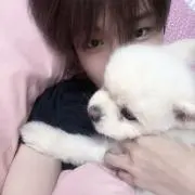 memeの画像