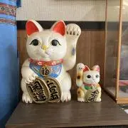 アナハゼの画像
