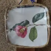 ダックスの画像