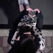りの画像