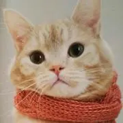 キキ
