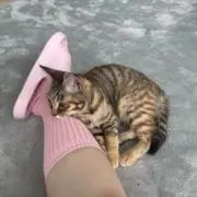 ゆうの画像