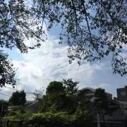IN