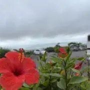 だいっくー