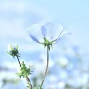 みんの画像